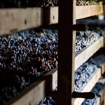 Amarone della Valpolicella